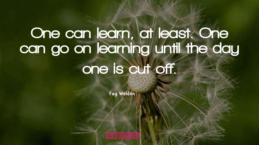 Fay Weldon Quotes: One can learn, at least.