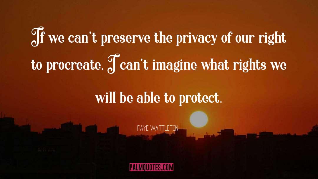 Faye Wattleton Quotes: If we can't preserve the