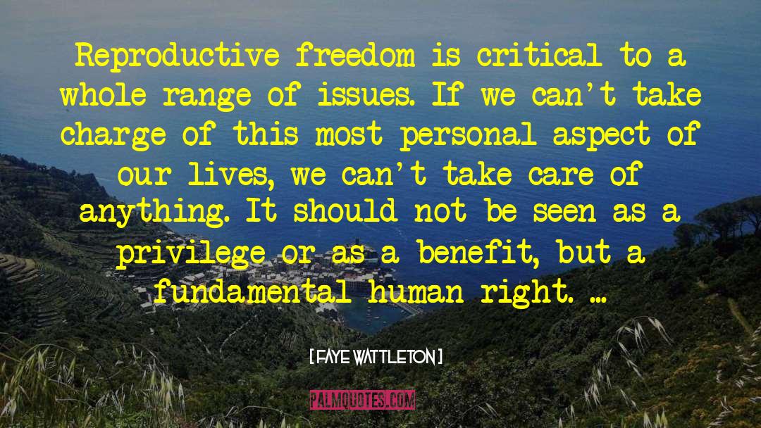 Faye Wattleton Quotes: Reproductive freedom is critical to