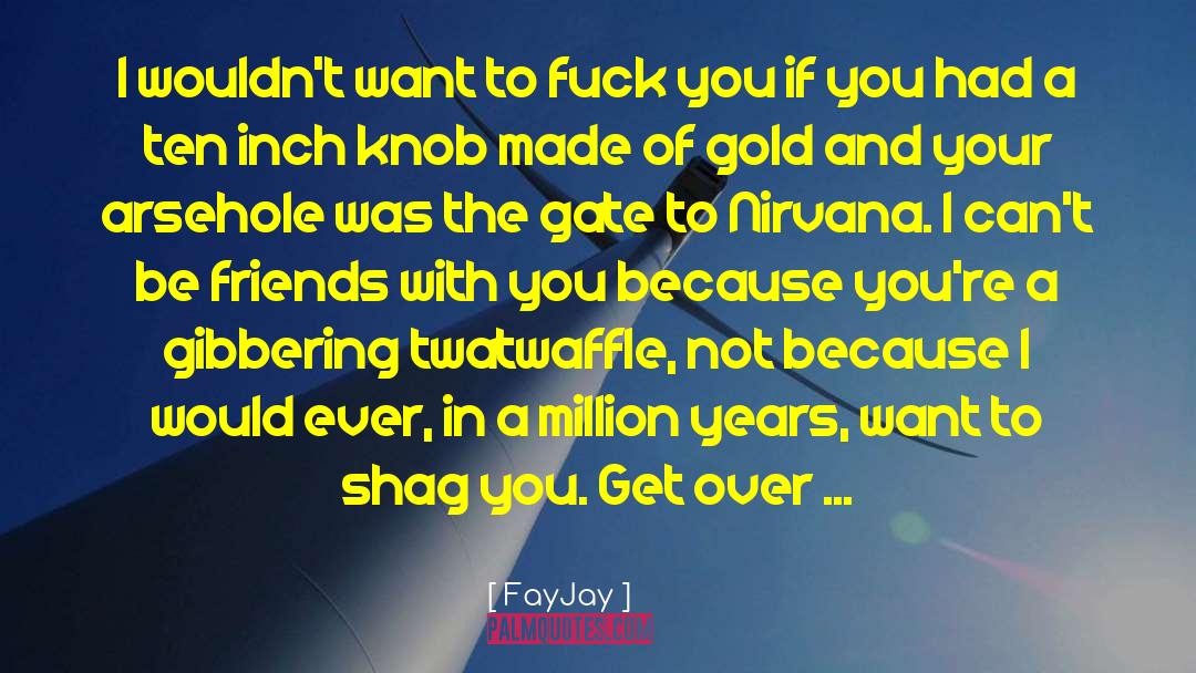 FayJay Quotes: I wouldn't want to fuck