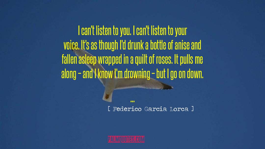 Federico Garcia Lorca Quotes: I can't listen to you.