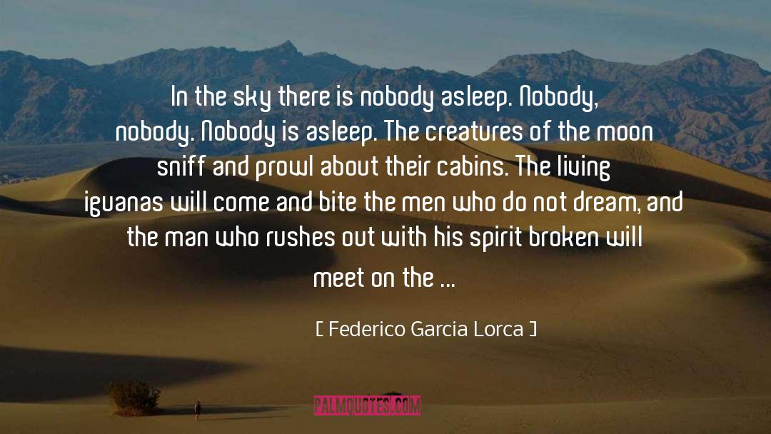 Federico Garcia Lorca Quotes: In the sky there is