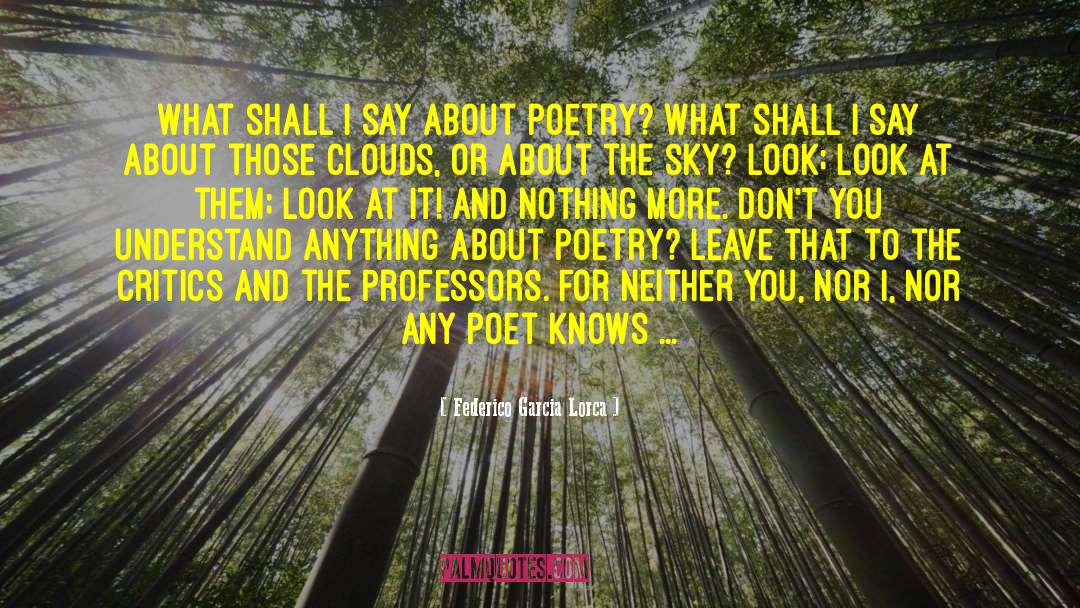 Federico Garcia Lorca Quotes: What shall I say about