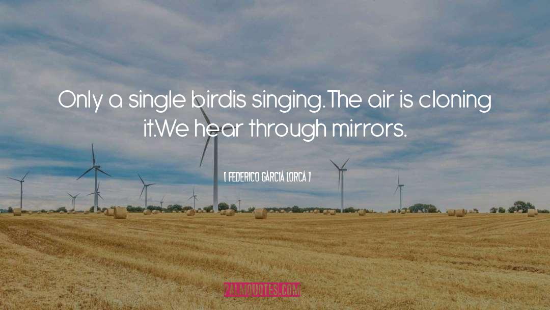 Federico Garcia Lorca Quotes: Only a single bird<br /><br