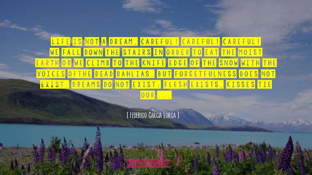 Federico Garcia Lorca Quotes: Life is not a dream.