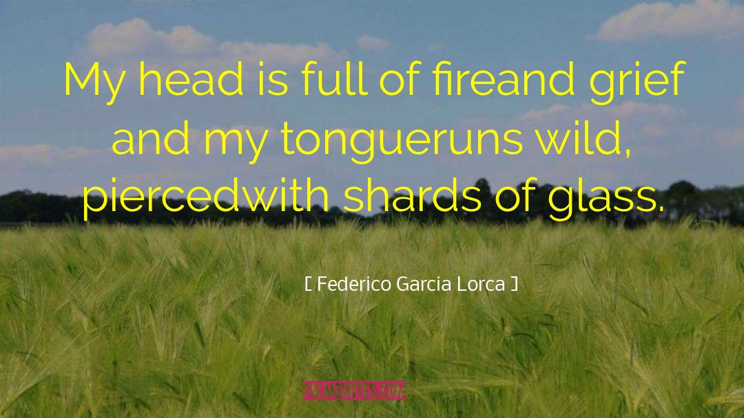 Federico Garcia Lorca Quotes: My head is full of