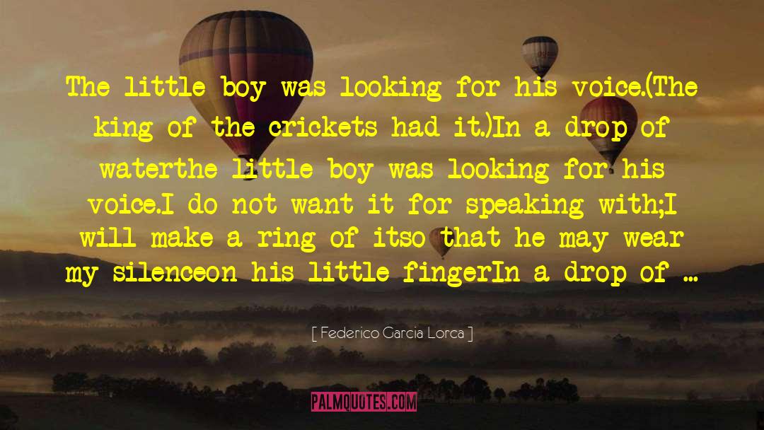 Federico Garcia Lorca Quotes: The little boy was looking