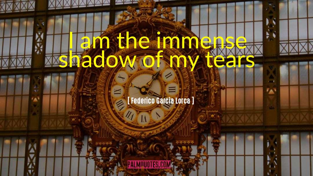 Federico Garcia Lorca Quotes: I am the immense shadow