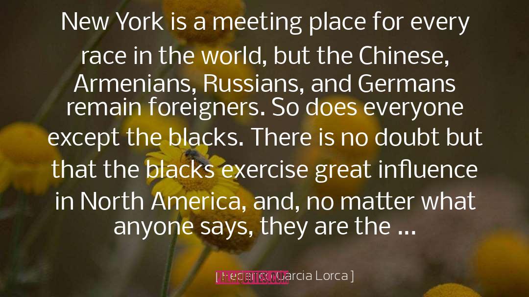 Federico Garcia Lorca Quotes: New York is a meeting