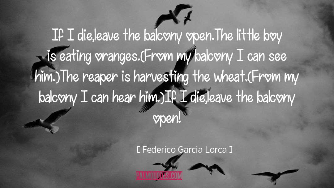 Federico Garcia Lorca Quotes: If I die,<br />leave the