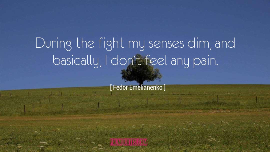 Fedor Emelianenko Quotes: During the fight my senses
