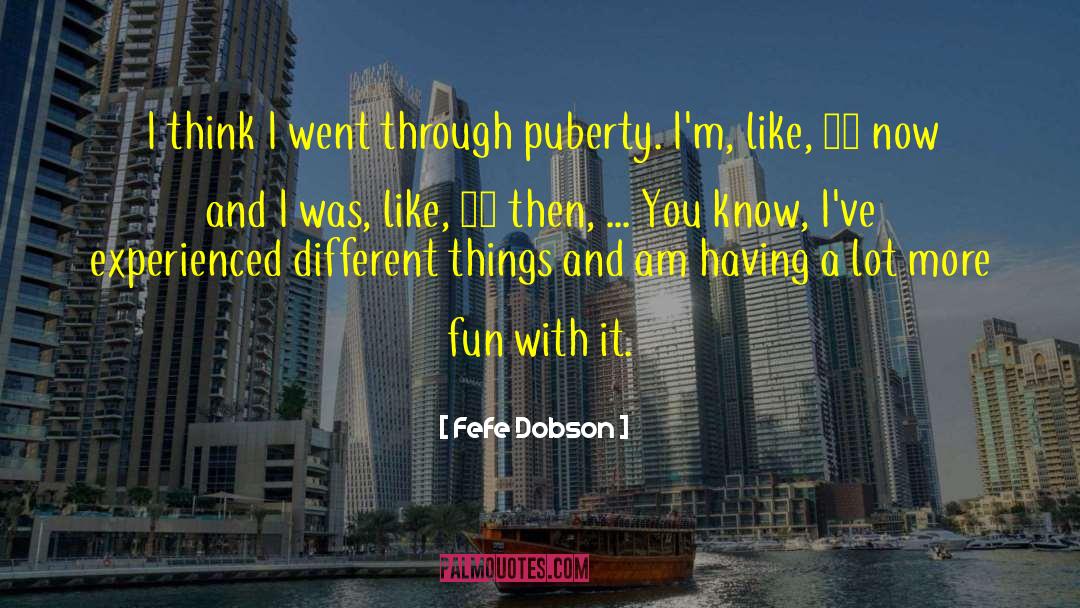 Fefe Dobson Quotes: I think I went through