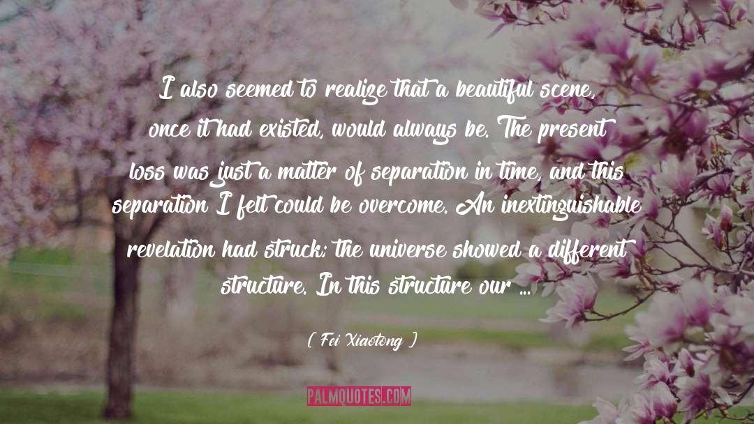 Fei Xiaotong Quotes: I also seemed to realize