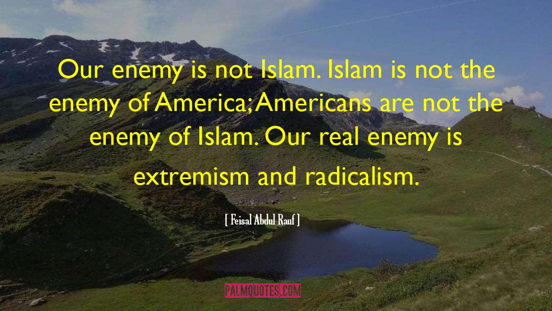 Feisal Abdul Rauf Quotes: Our enemy is not Islam.