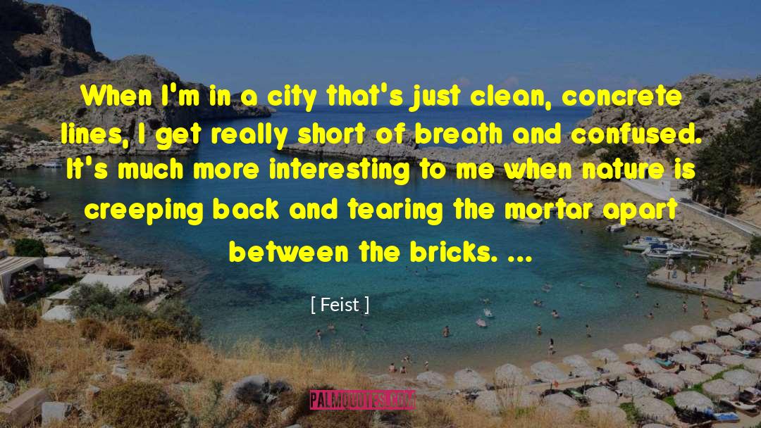 Feist Quotes: When I'm in a city
