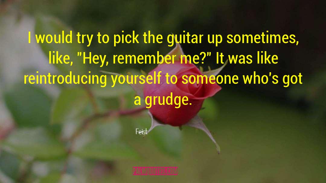 Feist Quotes: I would try to pick