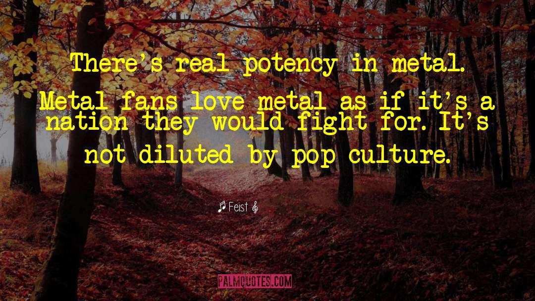 Feist Quotes: There's real potency in metal.