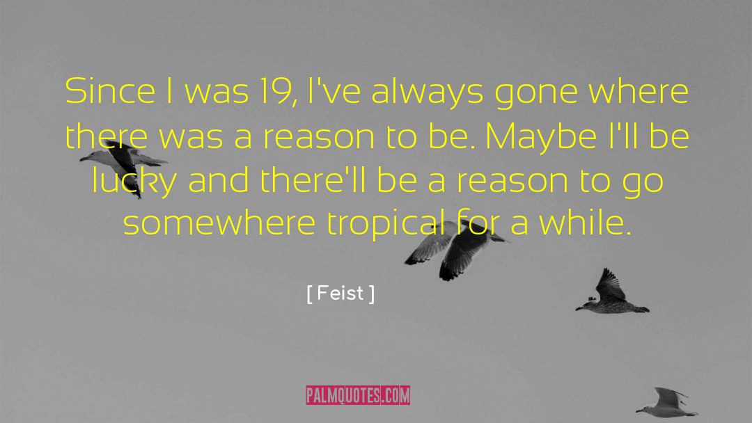 Feist Quotes: Since I was 19, I've