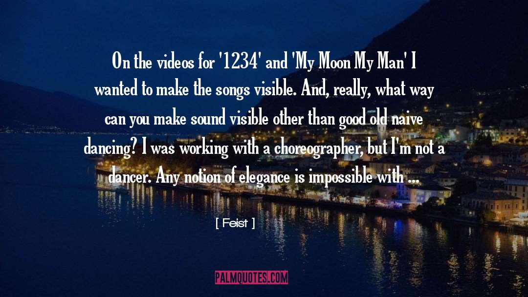 Feist Quotes: On the videos for '1234'