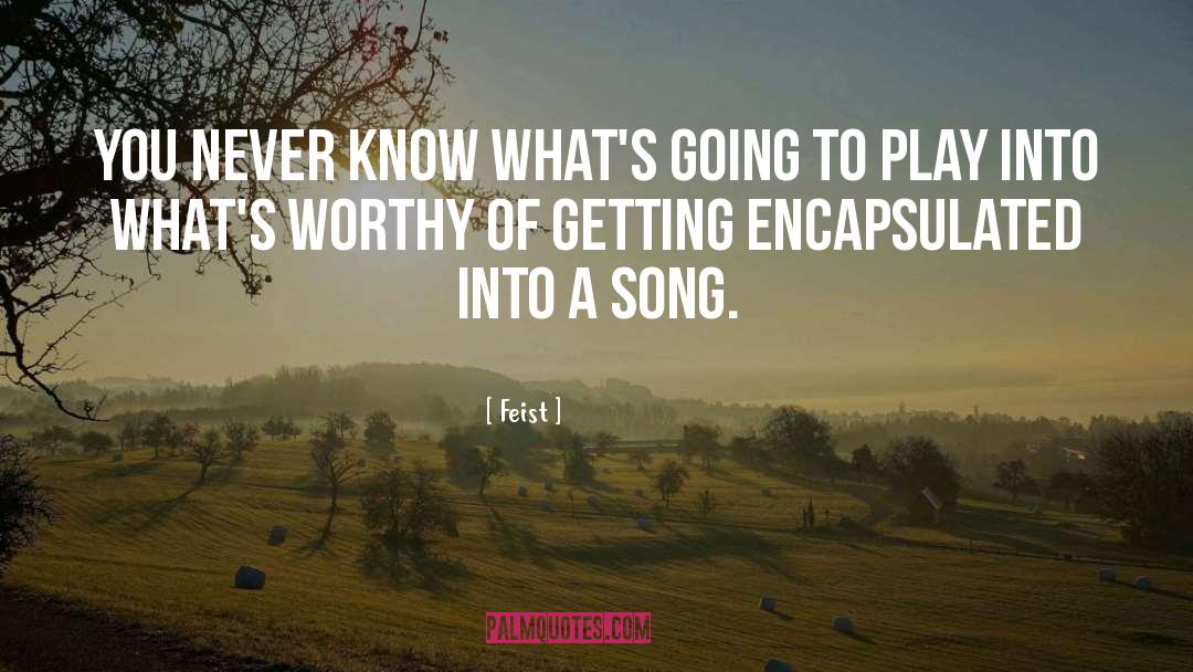 Feist Quotes: You never know what's going