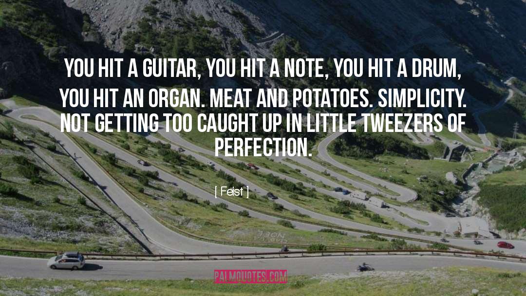 Feist Quotes: You hit a guitar, you