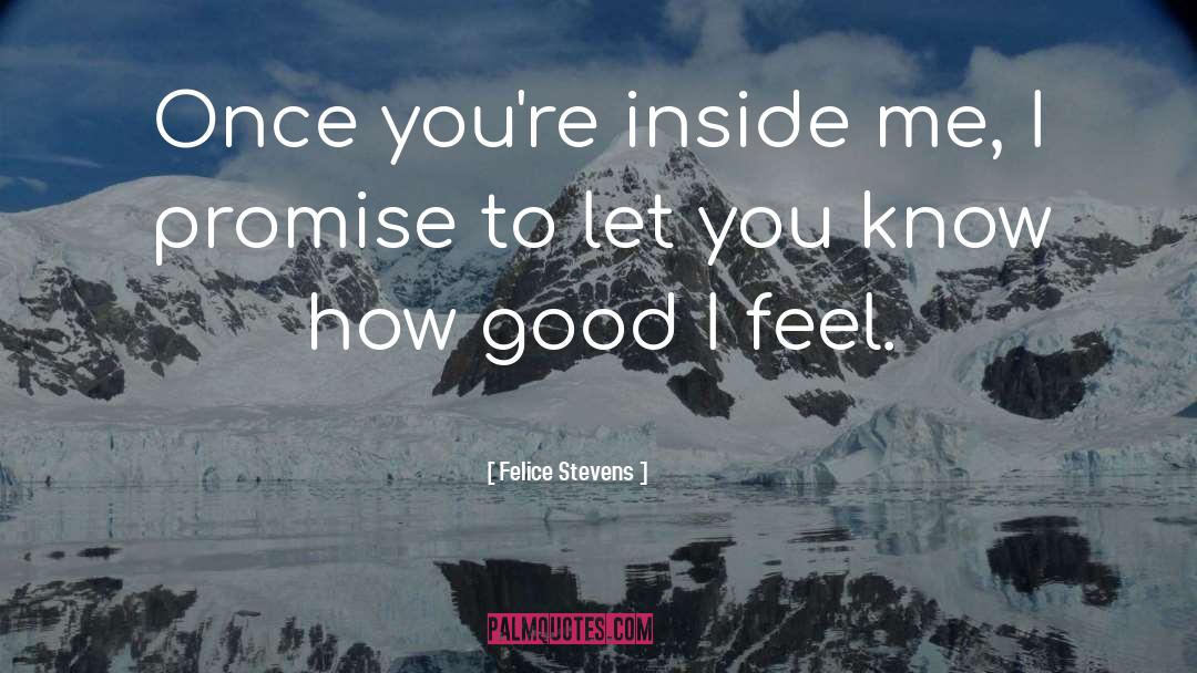 Felice Stevens Quotes: Once you're inside me, I