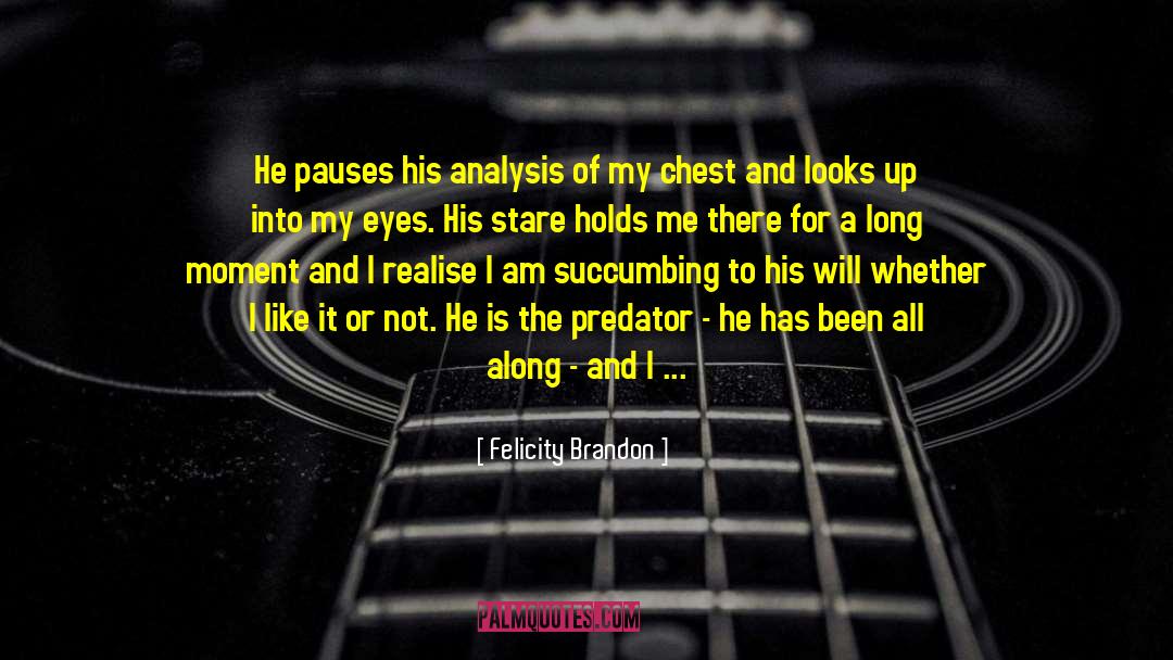 Felicity Brandon Quotes: He pauses his analysis of