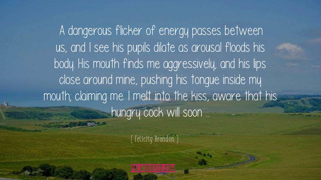 Felicity Brandon Quotes: A dangerous flicker of energy