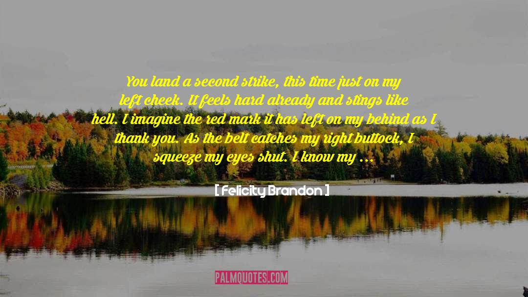 Felicity Brandon Quotes: You land a second strike,