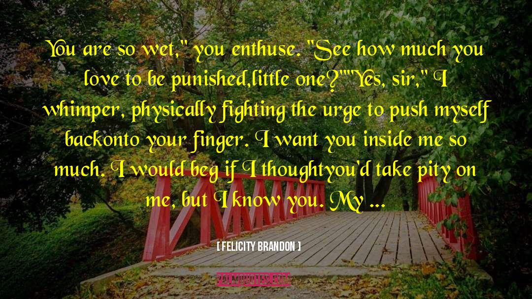 Felicity Brandon Quotes: You are so wet,