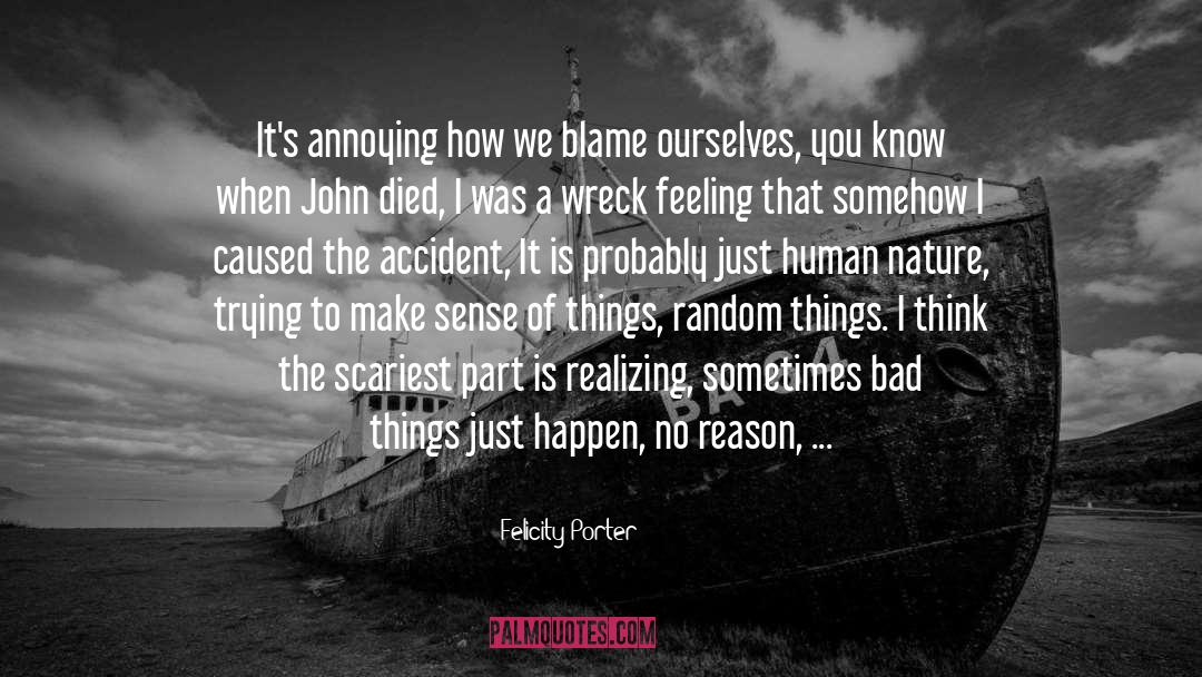 Felicity Porter Quotes: It's annoying how we blame