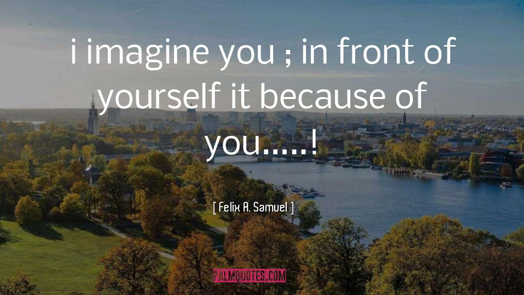 Felix A. Samuel Quotes: i imagine you ; in