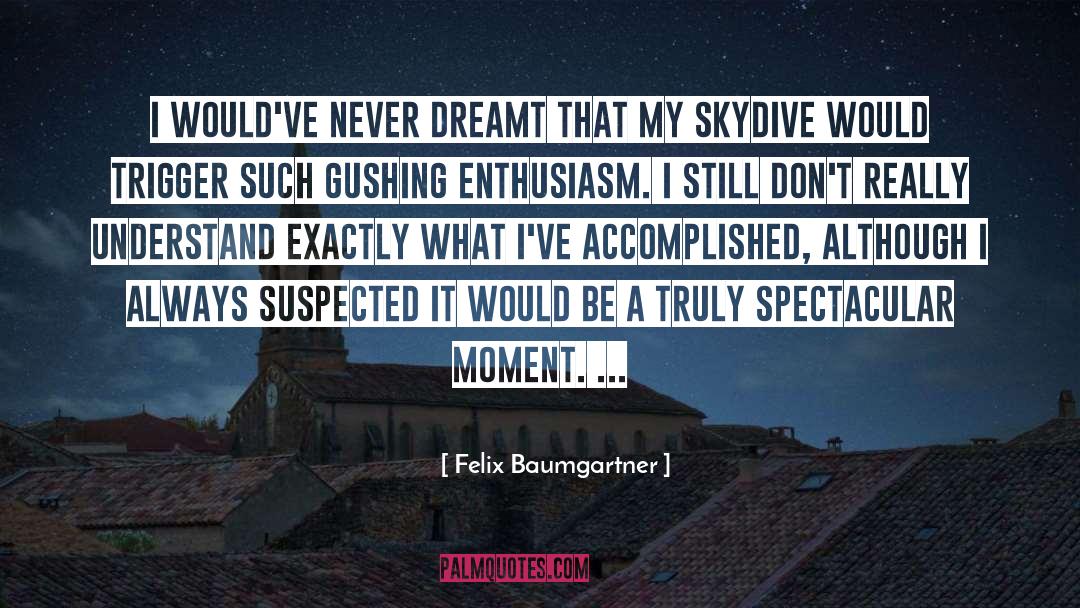 Felix Baumgartner Quotes: I would've never dreamt that