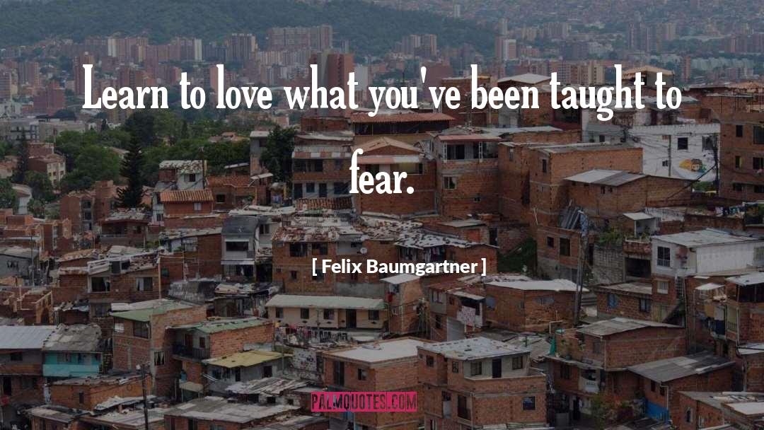 Felix Baumgartner Quotes: Learn to love what you've