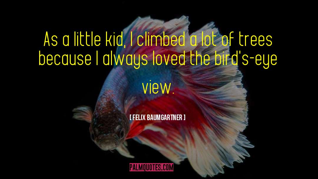 Felix Baumgartner Quotes: As a little kid, I