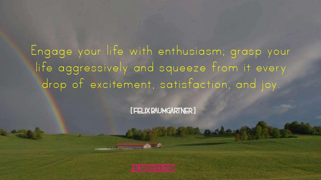 Felix Baumgartner Quotes: Engage your life with enthusiasm;