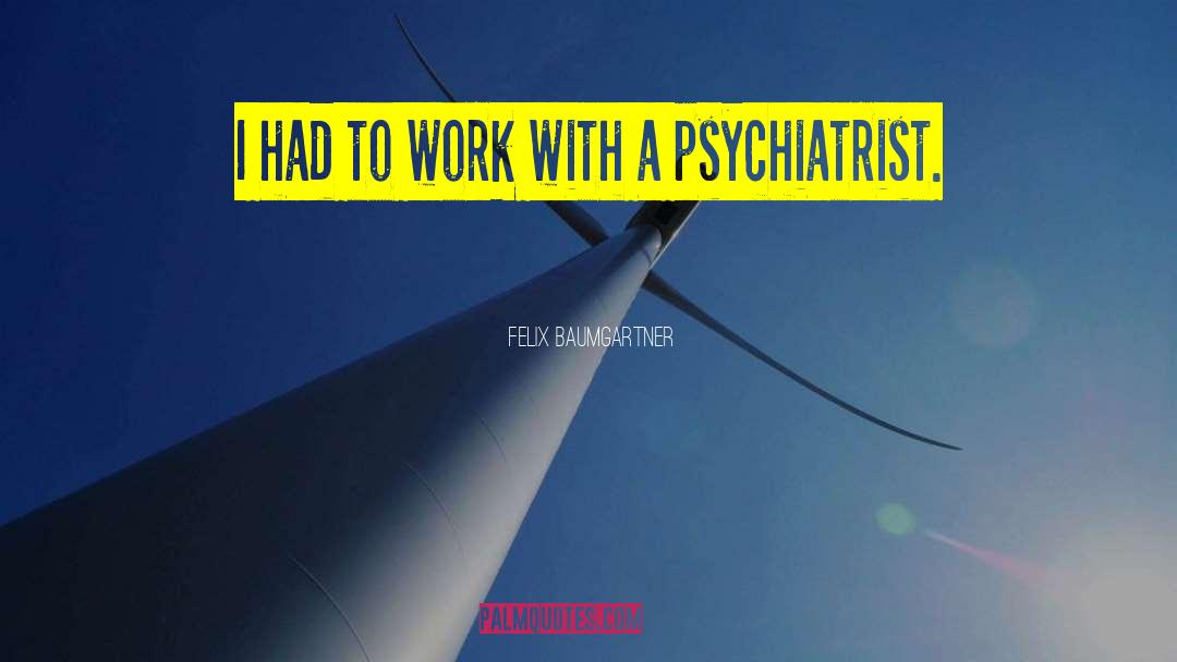 Felix Baumgartner Quotes: I had to work with