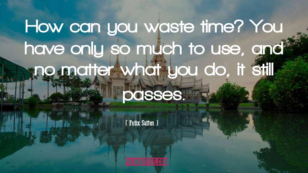 Felix Salten Quotes: How can you waste time?