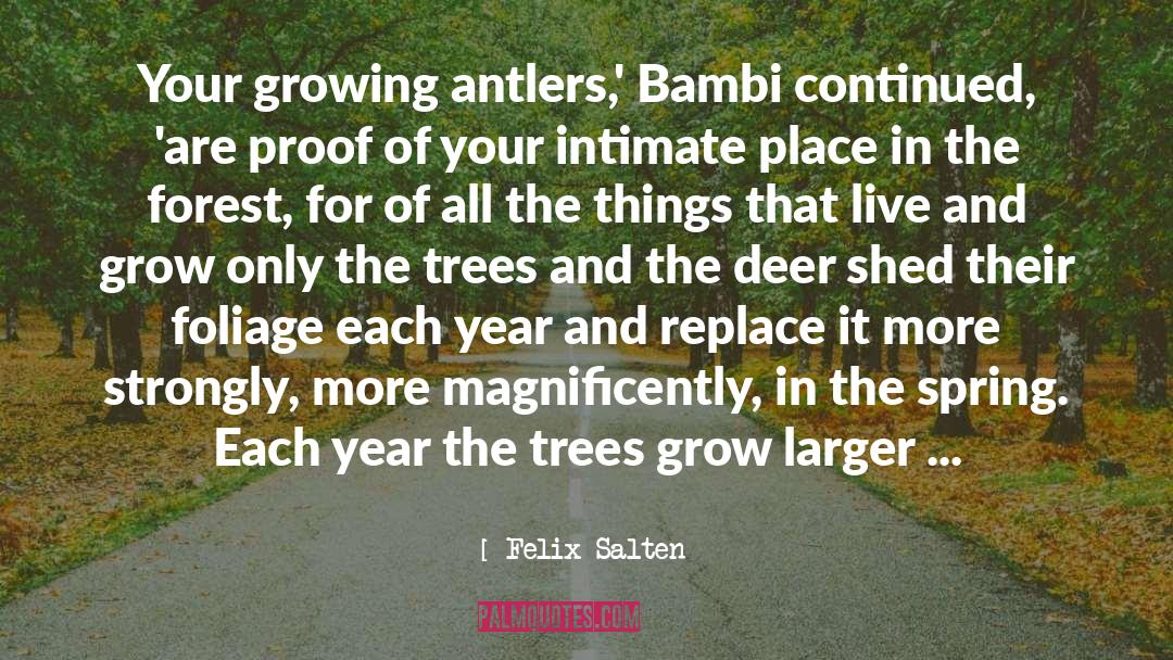 Felix Salten Quotes: Your growing antlers,' Bambi continued,