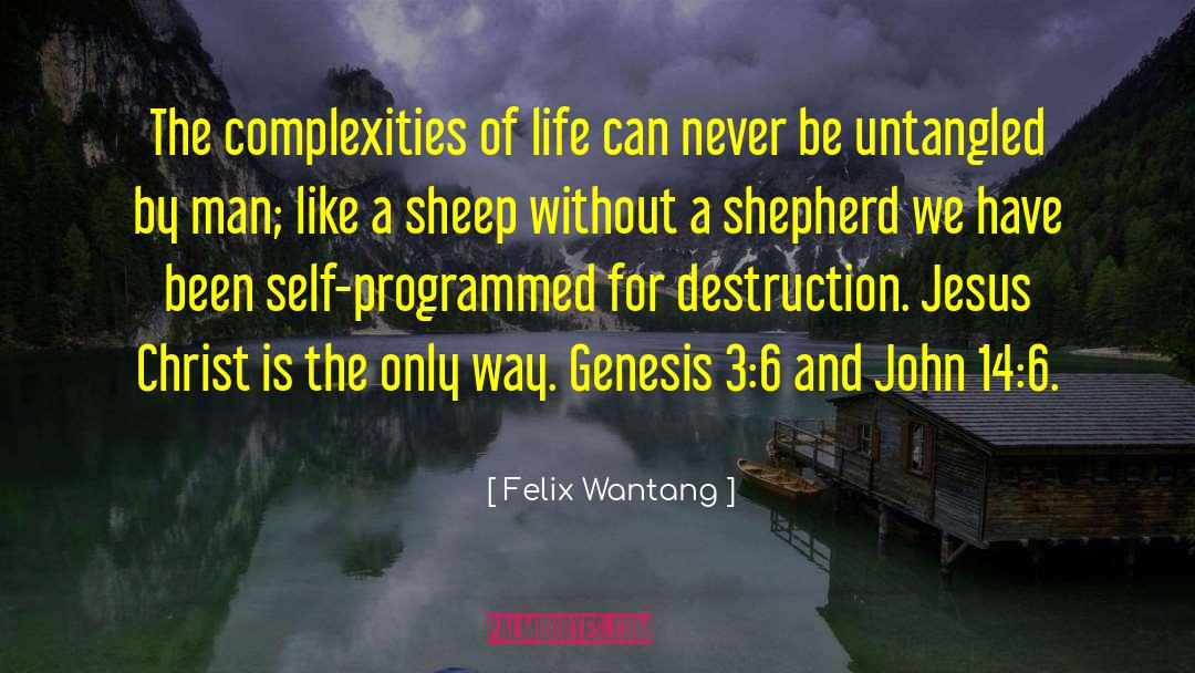 Felix Wantang Quotes: The complexities of life can