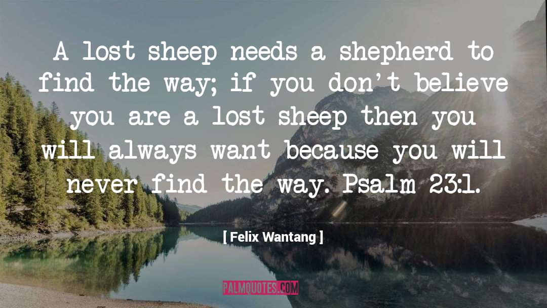 Felix Wantang Quotes: A lost sheep needs a