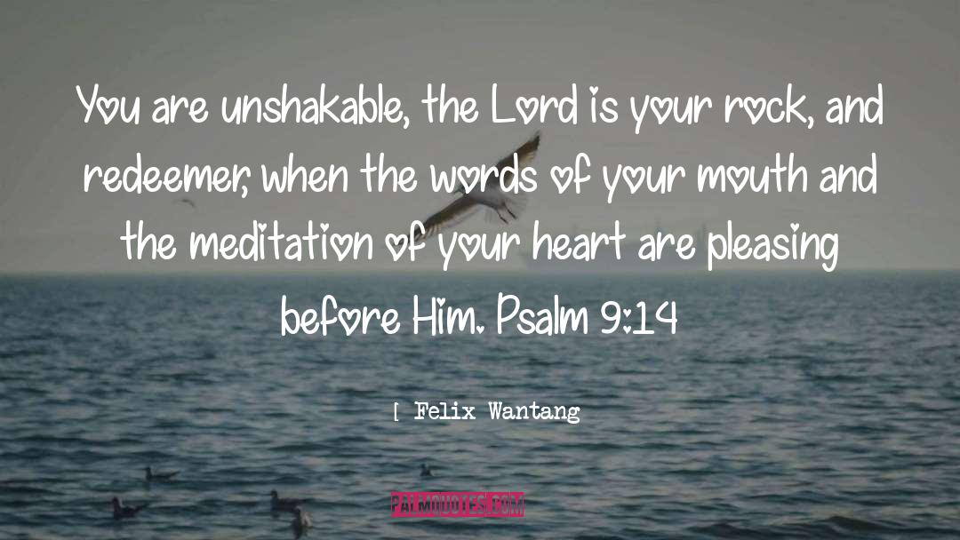 Felix Wantang Quotes: You are unshakable, the Lord