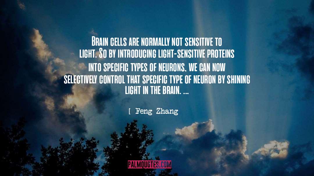 Feng Zhang Quotes: Brain cells are normally not