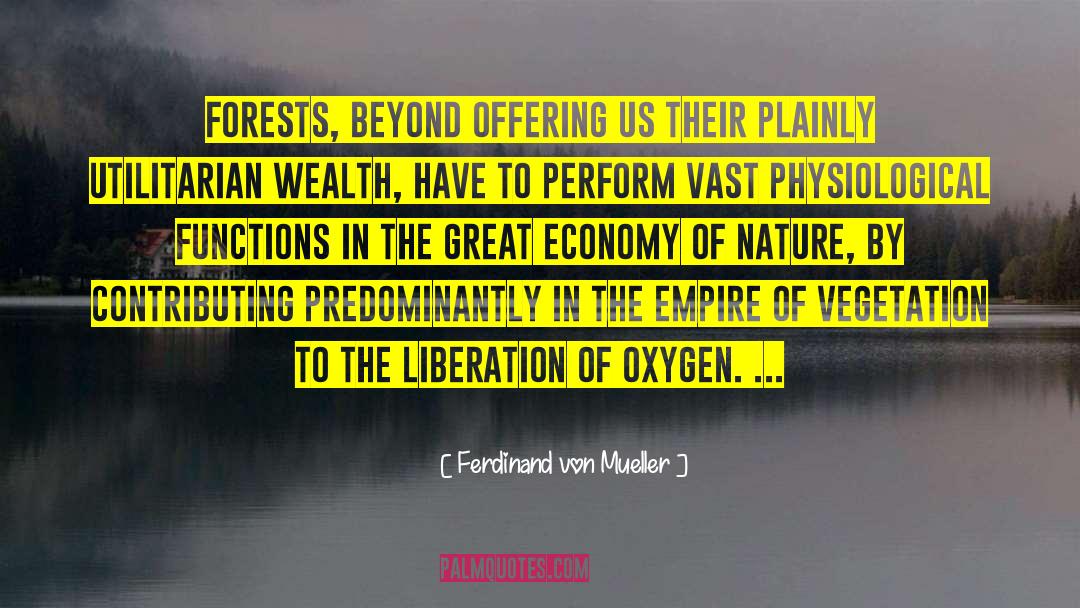 Ferdinand Von Mueller Quotes: Forests, beyond offering us their