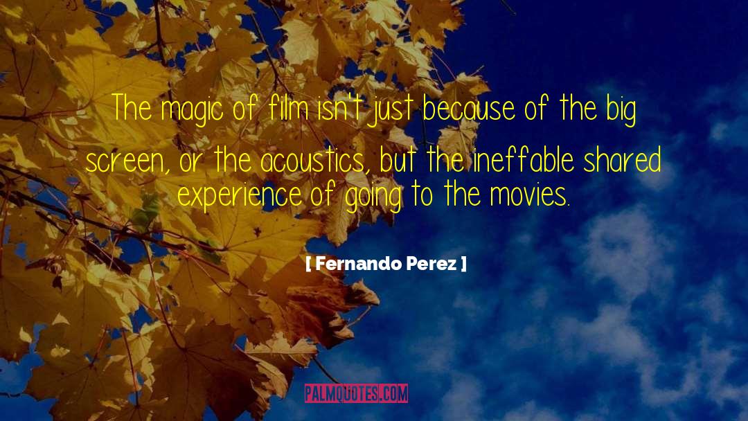 Fernando Perez Quotes: The magic of film isn't