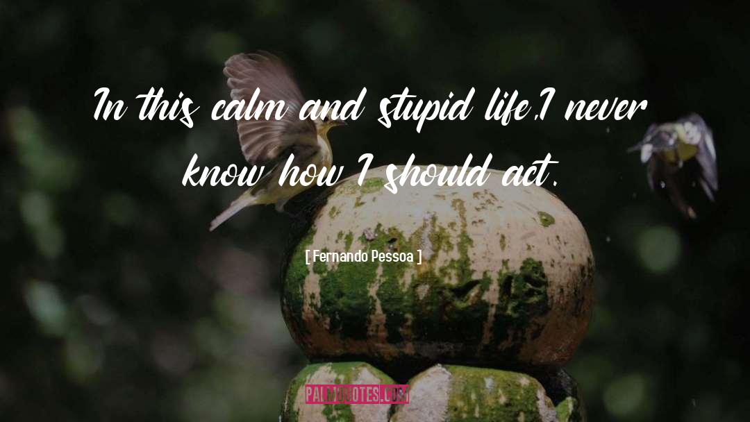 Fernando Pessoa Quotes: In this calm and stupid