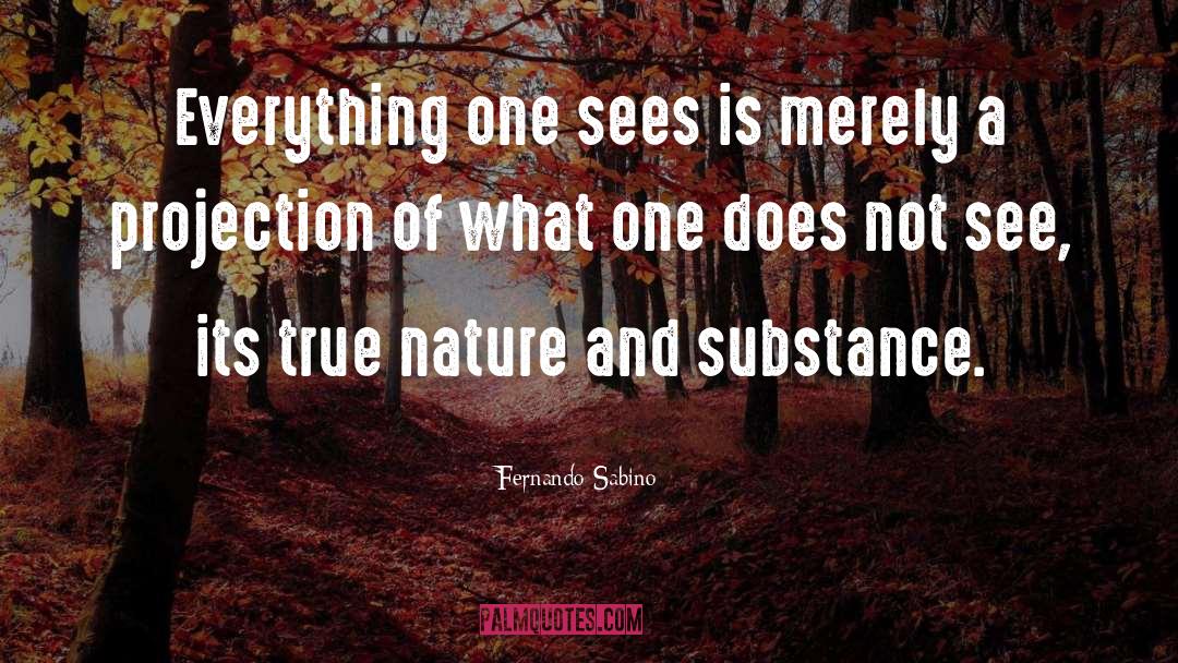 Fernando Sabino Quotes: Everything one sees is merely