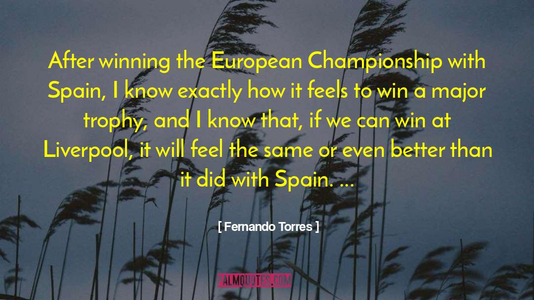 Fernando Torres Quotes: After winning the European Championship