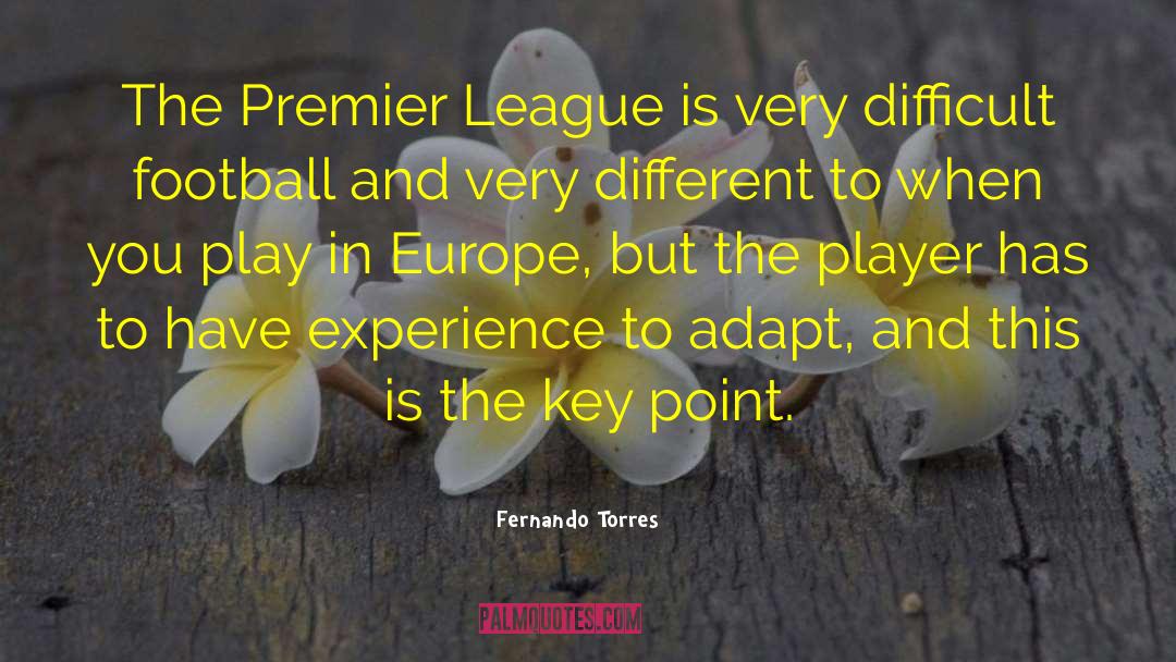 Fernando Torres Quotes: The Premier League is very