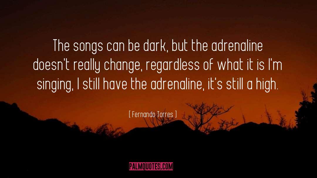 Fernando Torres Quotes: The songs can be dark,